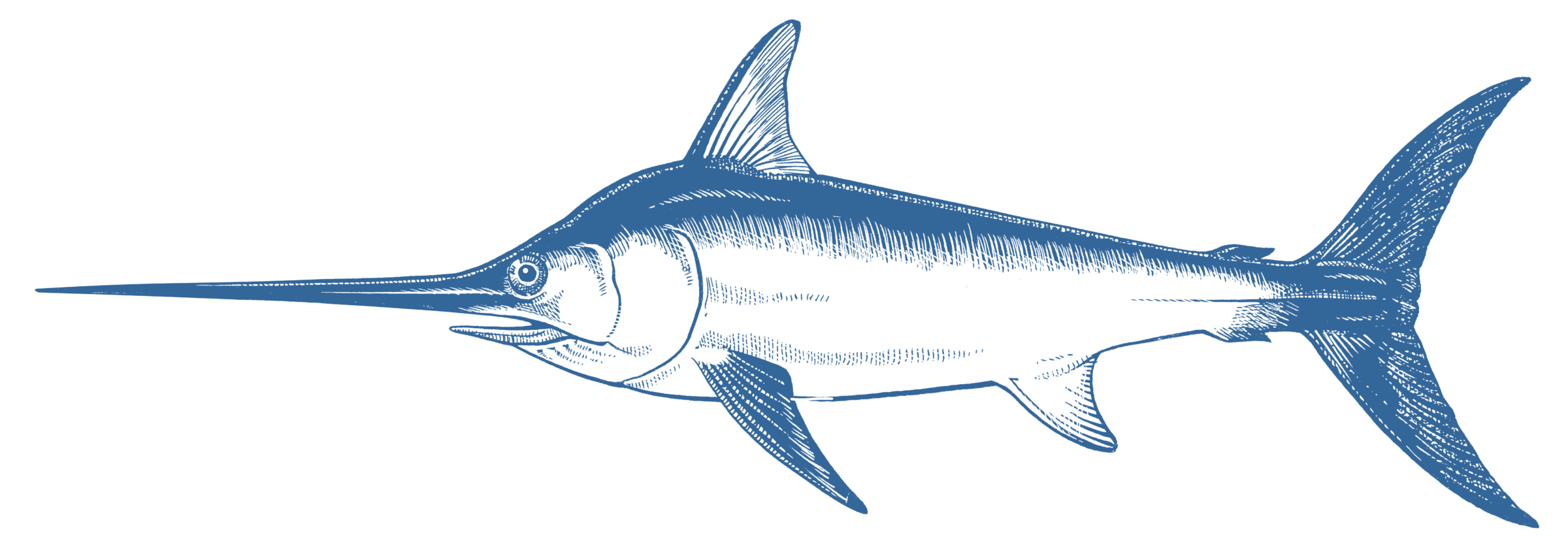 Swordfish Goodfish Australia S Sustainable Seafood Guide